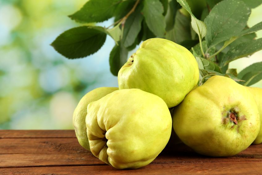 میوه به خوشه ای محلی