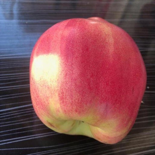 به خوشه ای قرمز