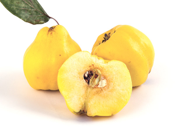 میوه به اصفهان نهالستان بهشت سبز