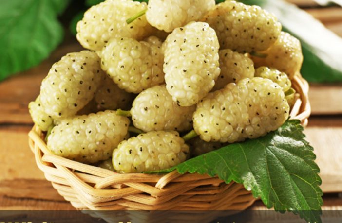 میوه توت خوشه ای سفید