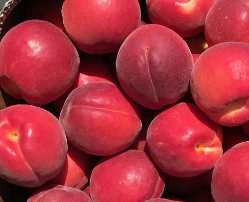 زردآلو پوست قرمز خوشه ای